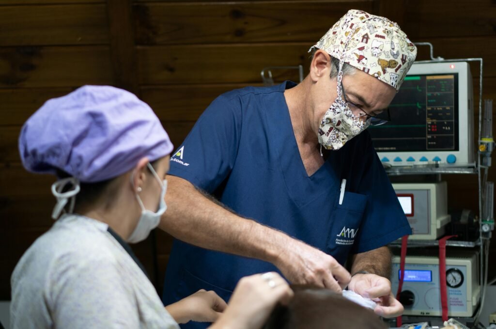 "Veterinarian performing surgery with an assistant in a well-equipped clinic, showcasing professional care and expertise
